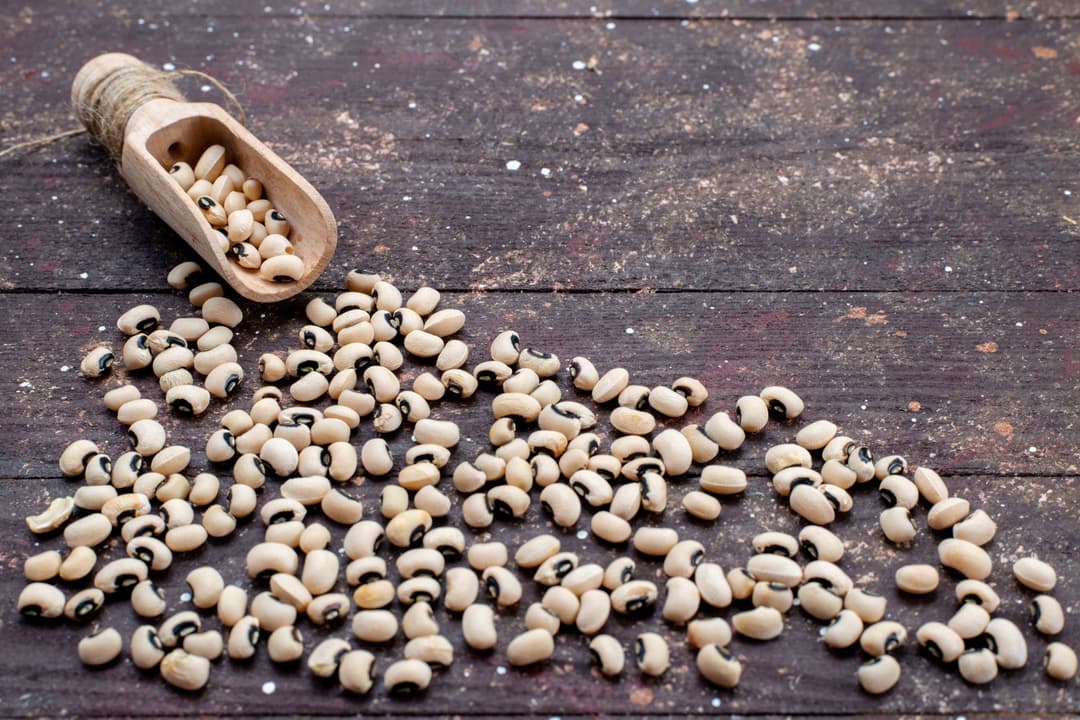 لوبیا چشم بلبلی